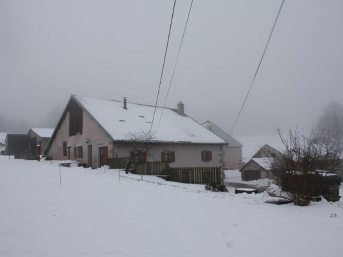 Gite Paisible A 650M D'Alt., Nature, Cheminee, 3 Ch. Pres De Remiremont & Plombieres, Terrasse, Grand Terrain - Fr-1-589-50 Girmont-Val-dʼAjol Buitenkant foto