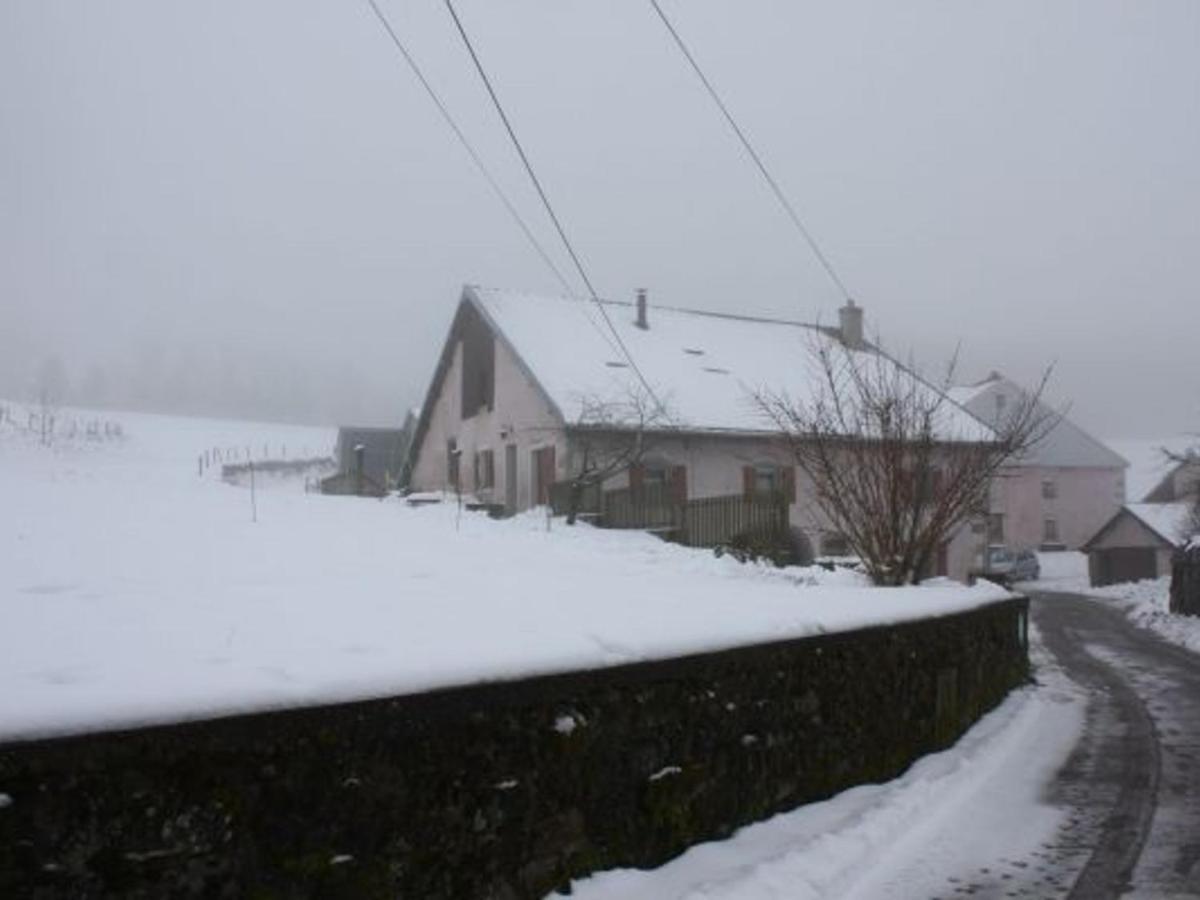 Gite Paisible A 650M D'Alt., Nature, Cheminee, 3 Ch. Pres De Remiremont & Plombieres, Terrasse, Grand Terrain - Fr-1-589-50 Girmont-Val-dʼAjol Buitenkant foto